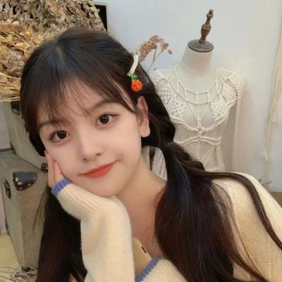新福星小子第二季